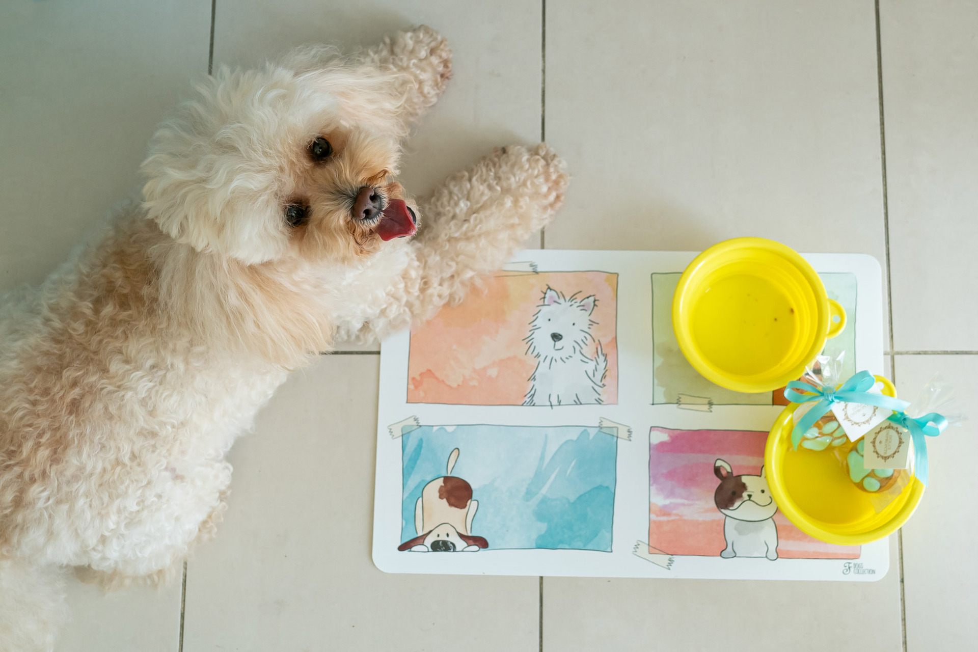 Albarella pet friendly